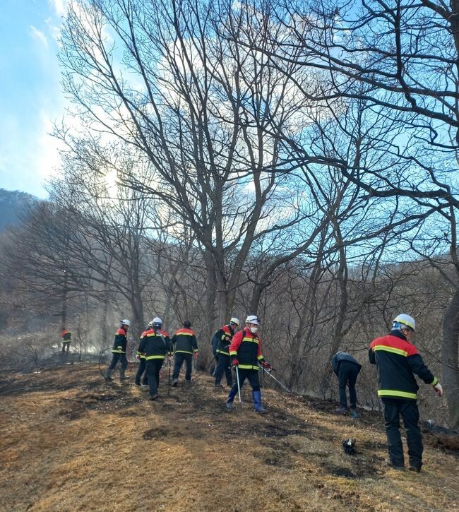 청주시, 가을철 산불상지대책본부 운영 
