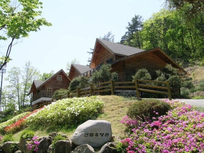 안동 계명산자연휴양림, 애견동반 객실 시범운영