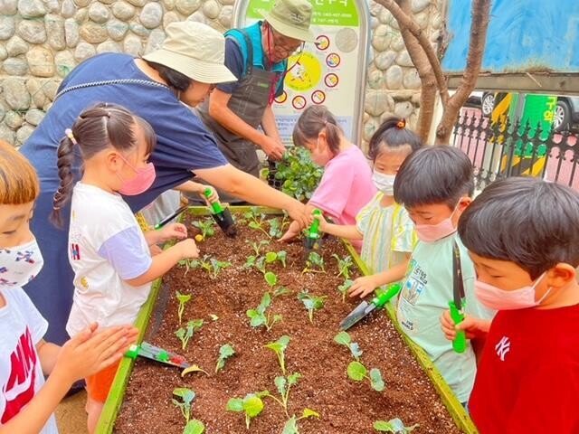 도시 텃밭 조성 호응 