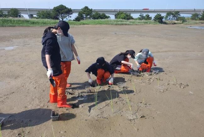  낙동강하구 청소년지킴이 활동 사진