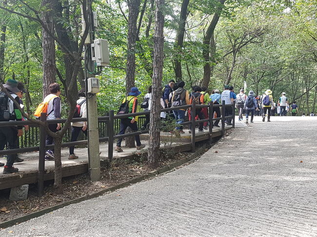 강북구 걷기 활성화 프로그램에 참여한 구민들과 강북구걷기연합회 회원들이 북한산 둘레길을 걷고 있다.