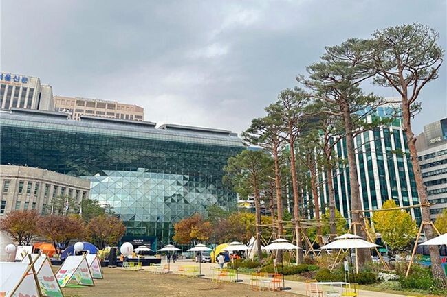 서울 광장숲 조성 1단계 완료 사진