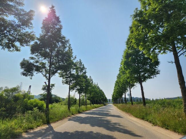안산시, &lsquo;대부바다향기테마파크&rsquo; 용도 확대&hellip;예술품 전시 가능해진다