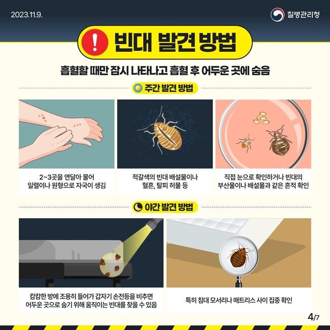 올바른 빈대 관련 정보 안내 및 신속한 방역 지원으로 ‘빈대 확산 방지 주력’