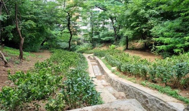 2023년 상반기 진행한 산사태 예방공사 완공 사진(동작구 흑석동)
