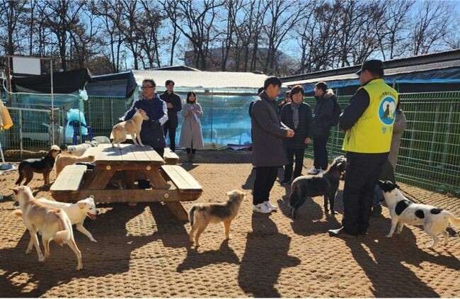 국민권익위원회 허재우 정부합동민원센터장은 30일 경기도 용인시 소재 민간 동물보호소 ‘행강’과 여주시 소재 반려동물 복합문화공간 ‘반려마루’를 방문해 고충을 상담했다.