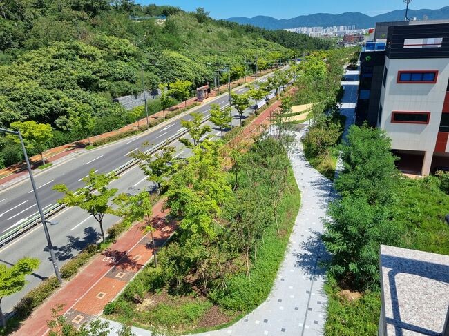 &lsquo;우정혁신도시 도시바람길숲&rsquo;구간별 특화공간 구성 등 호평