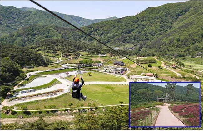 2023 지역개발사업 최우수 사례로 선정된 정읍시 ‘구절초 테마공원 사계절 활성화 조성사업’
