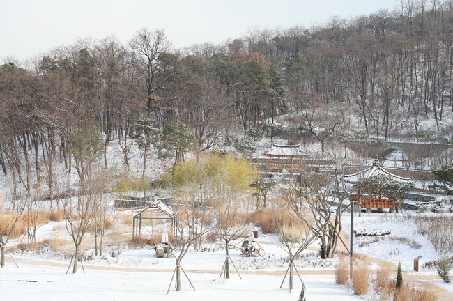 영흥수목원