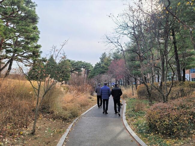 영등포 공원에서 산책하고 있는 사람들 