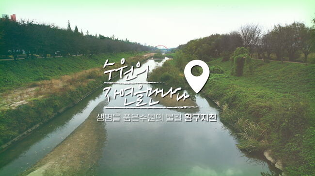 영상 갈무리&nbsp;