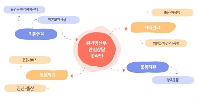 핫라인 지원내용