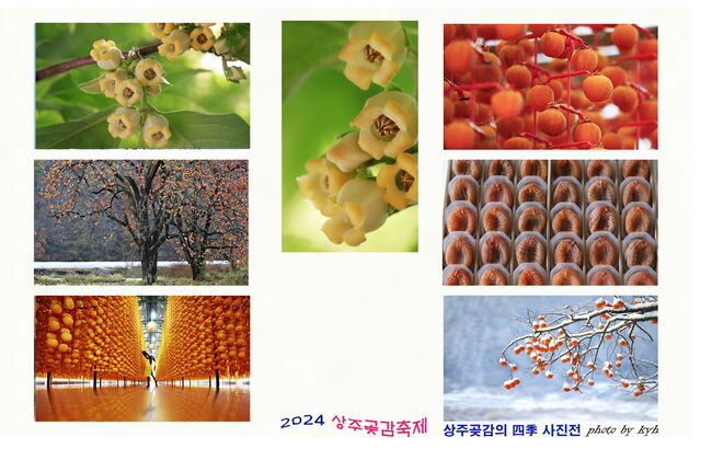 감과 곶감의 사계, 사진전시회 개최 