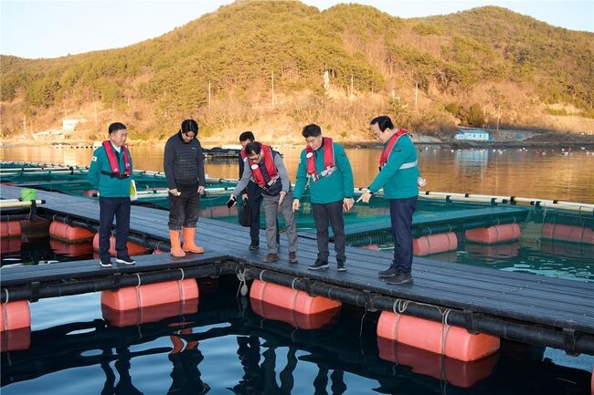 &nbsp;통영시 어류가두리 양식장 저수온 피해 대비 통영시 선제적 대응 돌입!&nbsp;