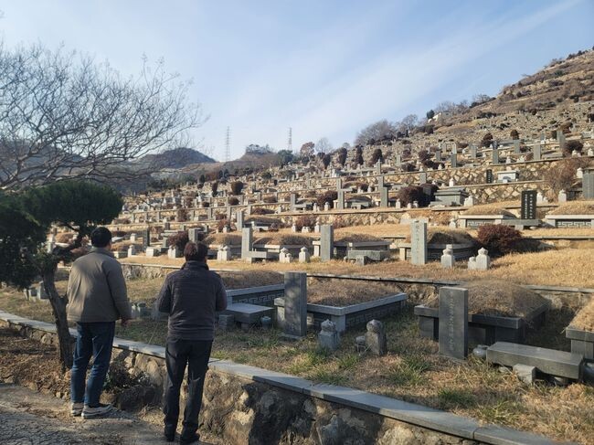 김해시 공원묘원 플라스틱 조화 근절 3년차 친환경 추모문화 정착 확인 점검사진 