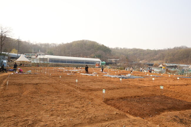 주말농장 현장&nbsp;