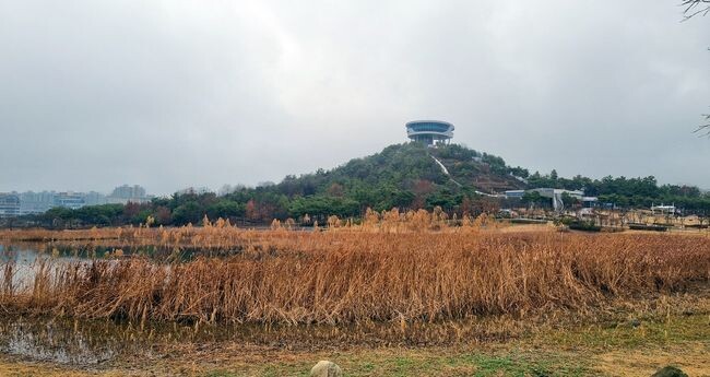 나주시가 빛가람호수공원 수질경관개선을 위한 준설에 착수한다. 사진은 빛가람호수공원과 전망대 전경.