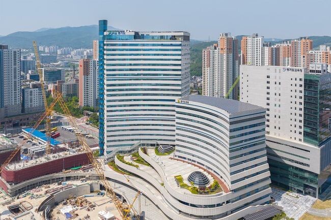 경기도가 수원 &lsquo;정씨일가&rsquo; 관련 전세사기 가담이 의심되는 공인중개업소 28곳을 수사한 결과 공인중개사와 중개보조원 65명을 적발하고 이 가운데 24명을 검찰에 송치했다.