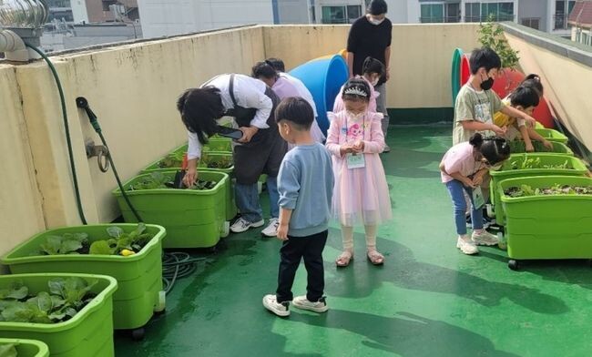 금천구는 생활 속 자투리 공간에 작물을 재배할 수 있는 '친환경 상자텃밭 보급사업' 신청자를 3월 20일 10시부터 28일 10시까지 모집한다고 밝혔다.