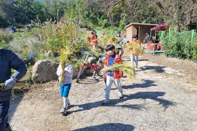 서울 강북구(구청장 이순희)는 오는 25일(월)부터 29일(금)까지 도심속에서 다양한 작물을 길러볼 수 있는 '강북 도시농업 체험장' 텃밭을 분양한다.