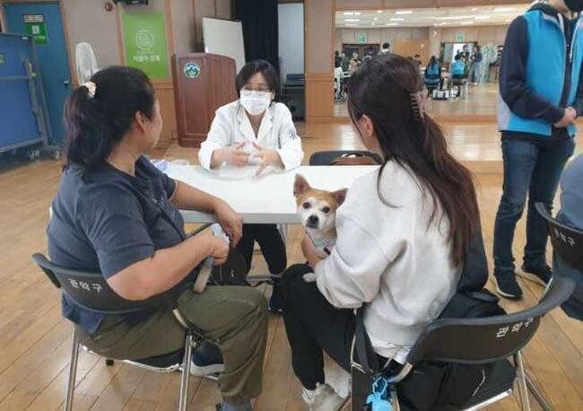 관악구가 동물복지 수준의 향상과 성숙한 반려동물 문화 확산을 위해 '2024년 동물복지시행계획'을 수립하고 적극 추진에 나섰다.