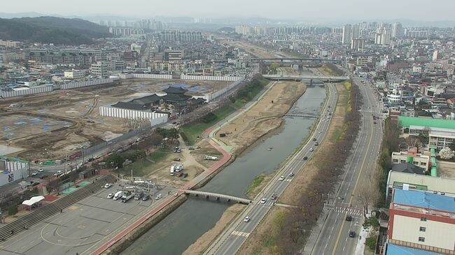 무심천 벚꽃 개화기 드론 활용 안전관리 강화