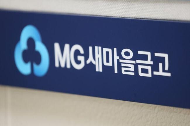 행정안전부는 2일 금융감독원과 협의를 통해 '새마을금고법' 제 74조에 따라 금융감독원에 검사 지원을 요청했다고 밝혔다.&nbsp;