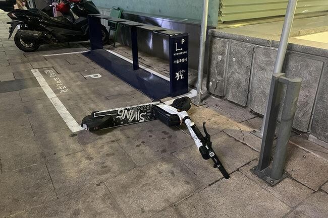 전동킥보드가 쓰러져 있는 모습(사진=서울시의회 제공)&nbsp;