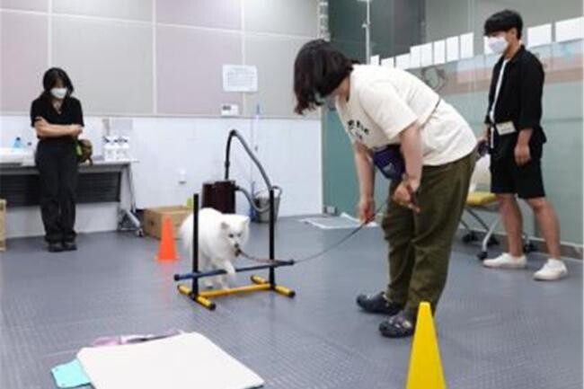 행동교정 교육 현장 사진&nbsp;