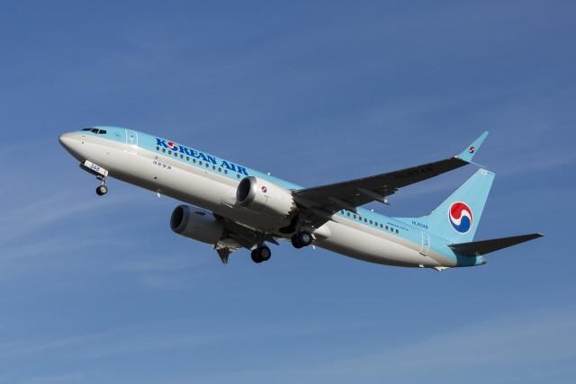 <span contenteditable="true">대한항공 보잉737-8
