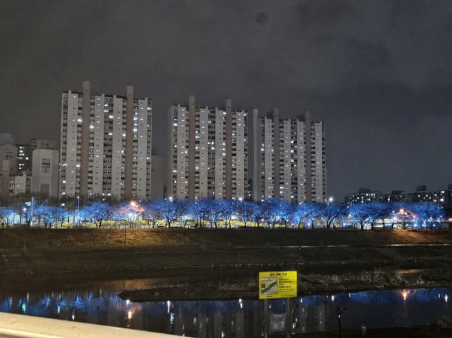 금천구청 맞은편 산책로 경관 조명