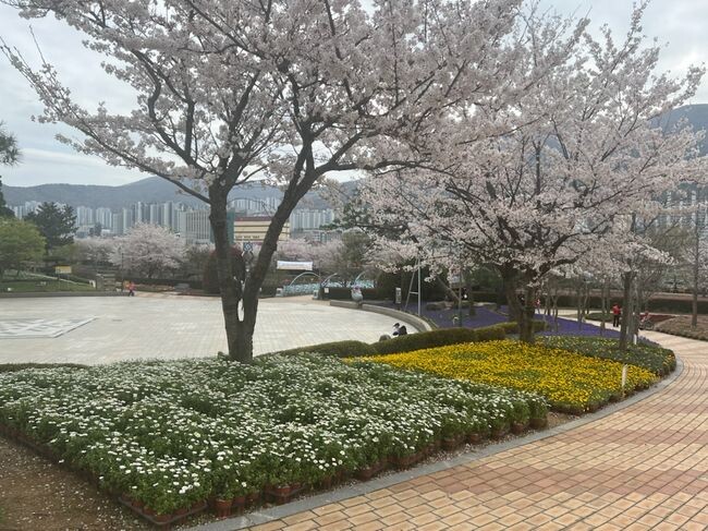 봄향기 만연한 독봉산 웰빙공원으로 오세요!
