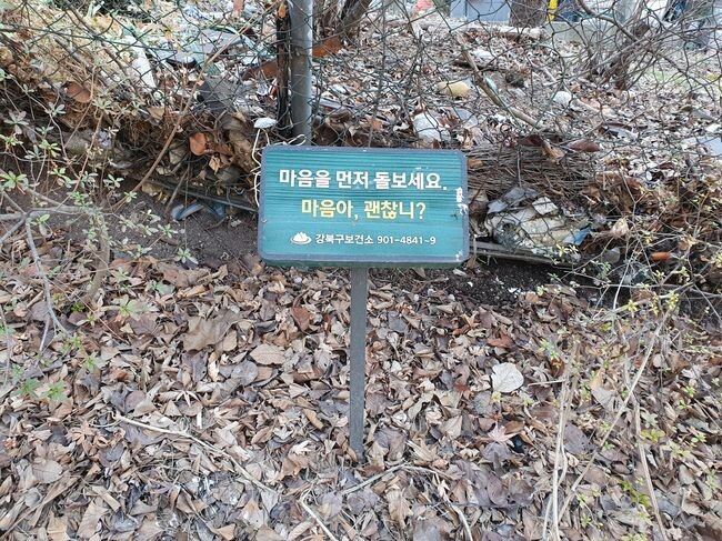 생명사랑 마음2강 숲길에 설치된 자살예방 푯말