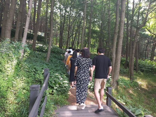 지난해 ‘숲 태교 교실’의 참여자들이 숲 산책을 하고 있다