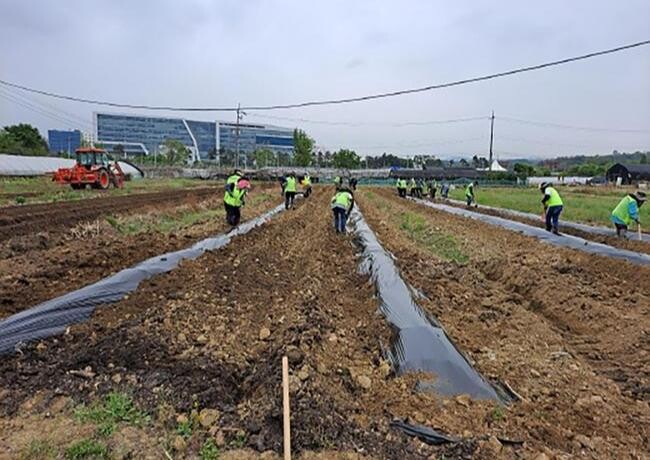 성남시는 오는 5월 10일부터 17일까지 '2024년도 하반기 지역공동체 일자리 사업' 참여 희망자 165명을 모집한다.