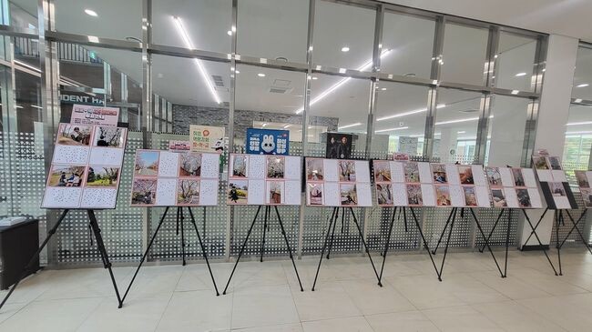 벚꽃 콘테스트 