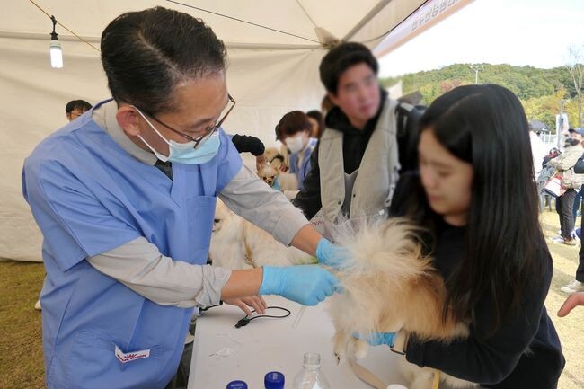 반려동물 인수공통전염병 무료 검사 (이동검진)