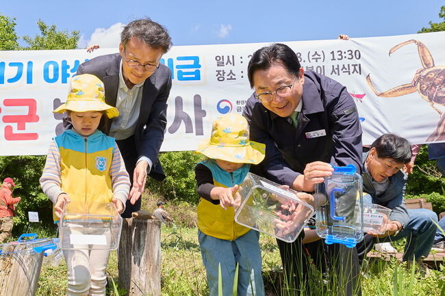 송악면 동화리 습지에 멸종위기종 물장군 70개체 방사