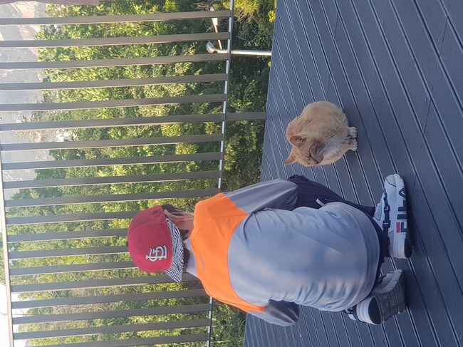 23년 노원 사진 공모전 -구민과 고양이&nbsp;