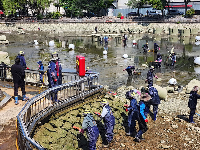 여수시가 지난 10일 대대적으로 거북선공원 호수를 청소했다.&nbsp;