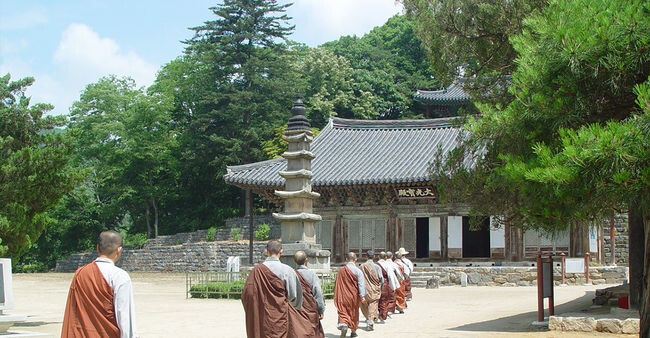 마곡사-마곡사의 여름&nbsp;