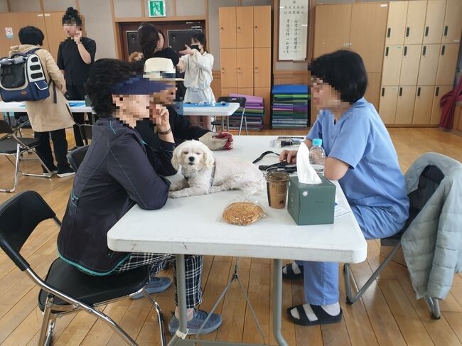 찾아가는 동물병원 간이검진 사진&nbsp;