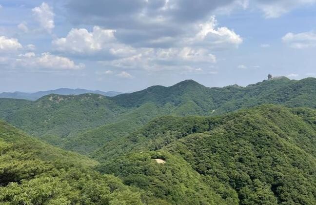 경기도가 경기 서남부를 대표하는 수리산도립공원에 '수리산 매쟁이골 누리길'을 조성한다.