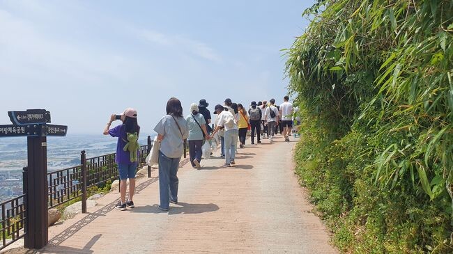 김해시, '어우렁 더우렁, 에코 가야원정대' 성황리 운영 