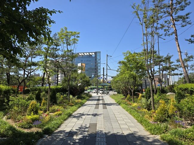 강서구청 사거리 정원 