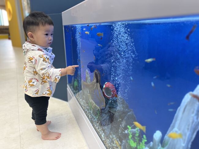 길동점 수족관 전경