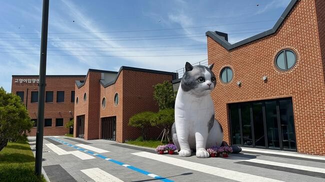 경기도 고양이 입양센터 개관…1개월 동안 12마리 입양 시켜