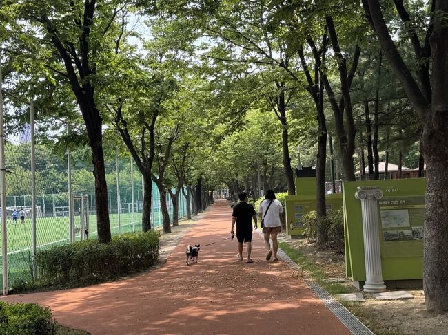 순환산책로에서 반려견과 산책하고 있는 주민들