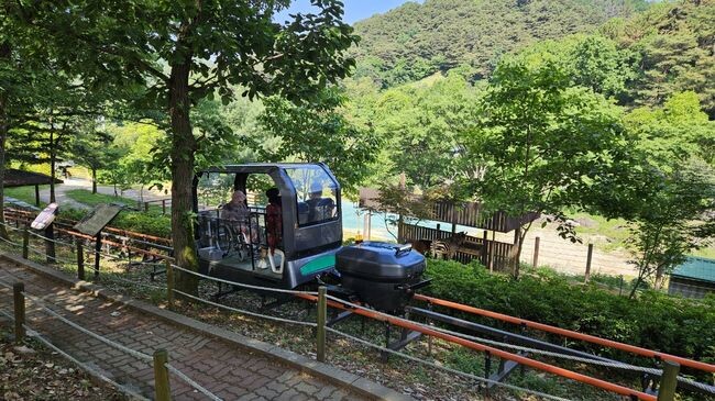 청주동물원, 모노레일 온라인 예약 접수처 변경_(모노레일 탑승 사진)