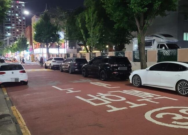 거리공원 인근 노인보호구역(과태료 2배)에 불법 주차된 차량들